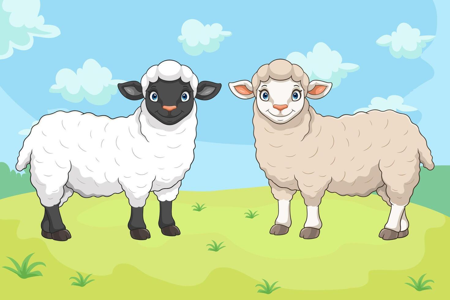 Cartoon black and white sheep on white background vector