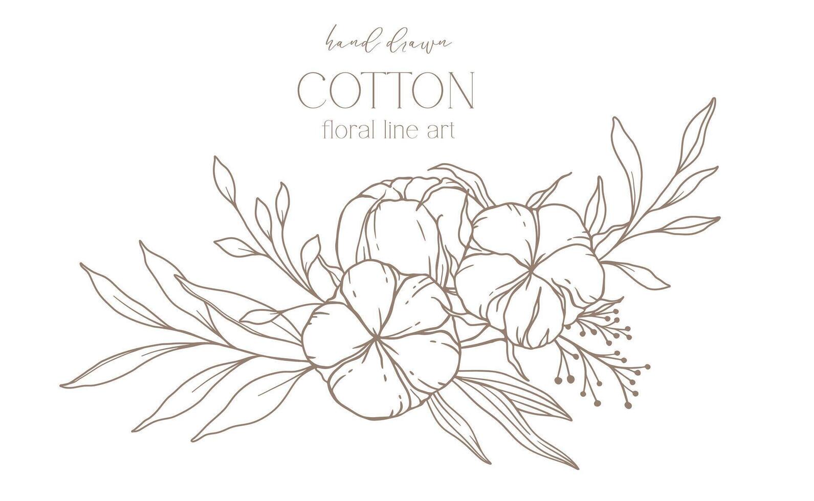 Hand Drawn Cotton Flowers Line Art Illustration. Cotton Balls isolated on white. Floral Line Art. Cotton Plant Black and white illustration. Fine Line Cotton illustration. vector