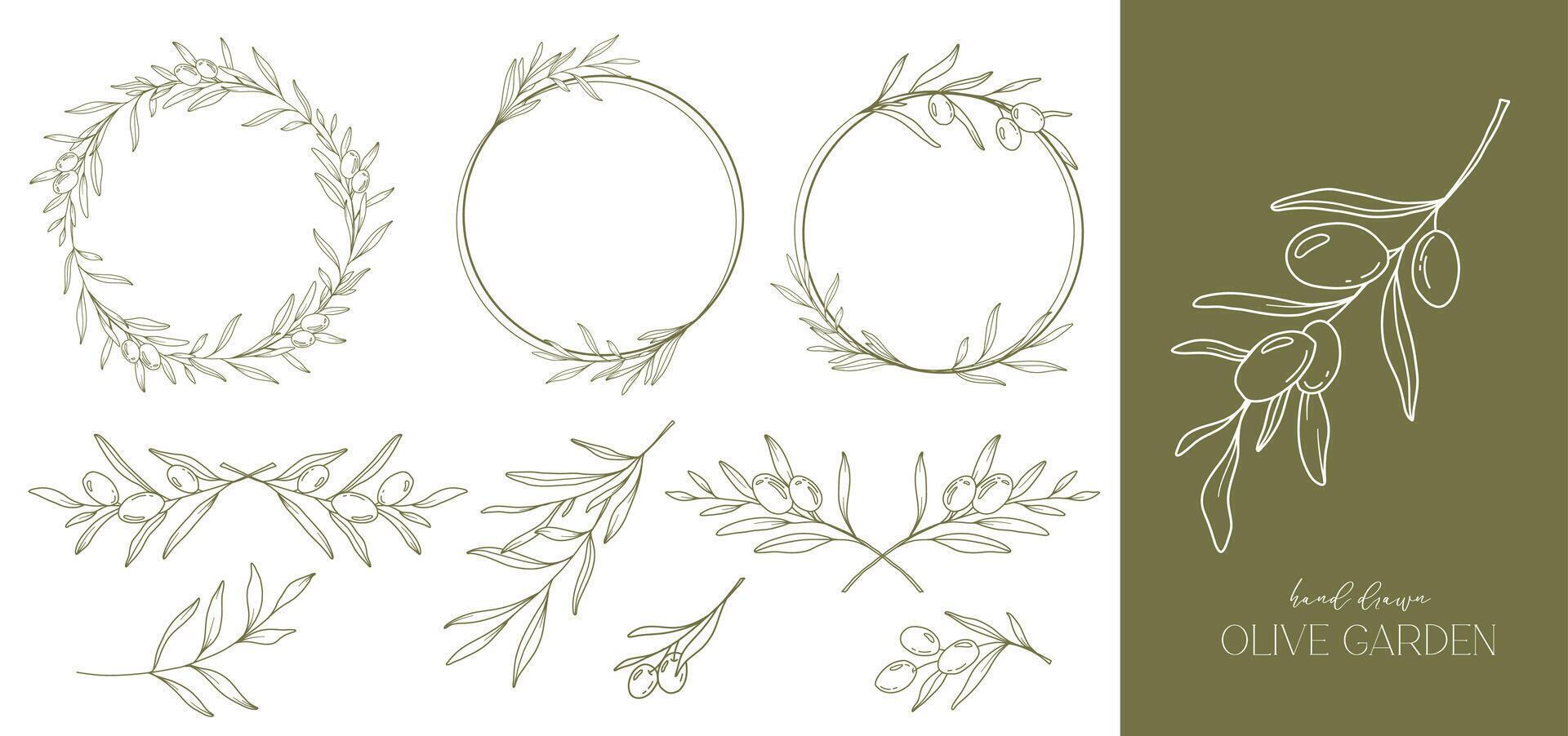 Olives Line Drawing. Black and white Olive Frame. Olive Wreath Isolated. Floral Line Art. Fine Line Olive  illustration. Black and white Olive Branches. Hand Drawn Olive. Wedding invitation greenery vector