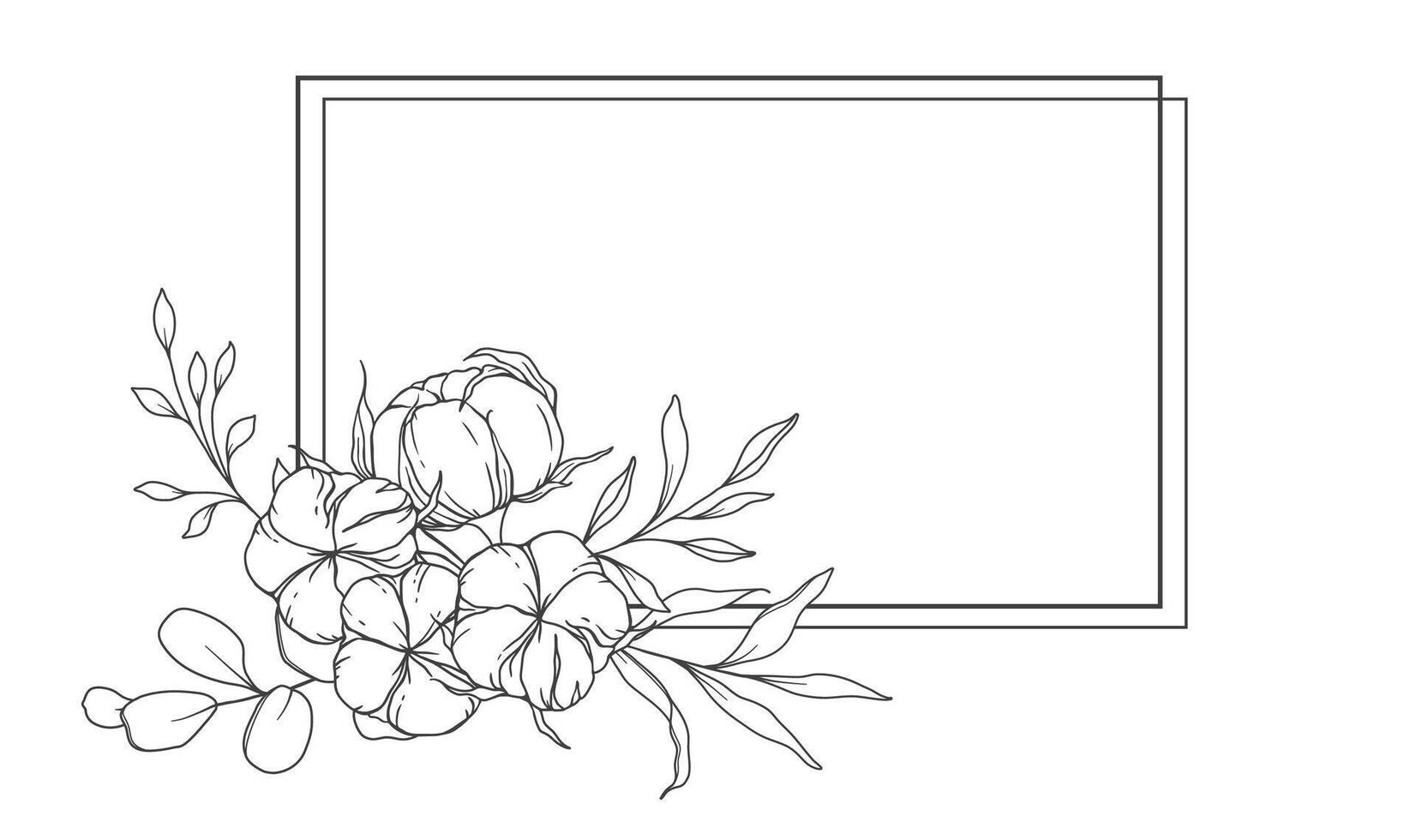 Hand Drawn Cotton Flowers Line Art Illustration. Cotton Balls isolated on white. Floral Line Art. Cotton Plant Black and white illustration. Fine Line Cotton illustration. vector