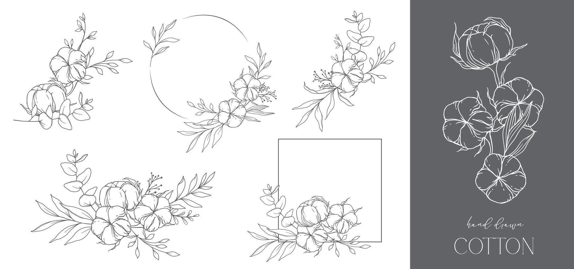 Hand Drawn Cotton Flowers Line Art Illustration. Cotton Balls isolated on white. Hand drawn floral frame. Cotton Plant Black and white illustration. Fine Line Cotton illustration. vector