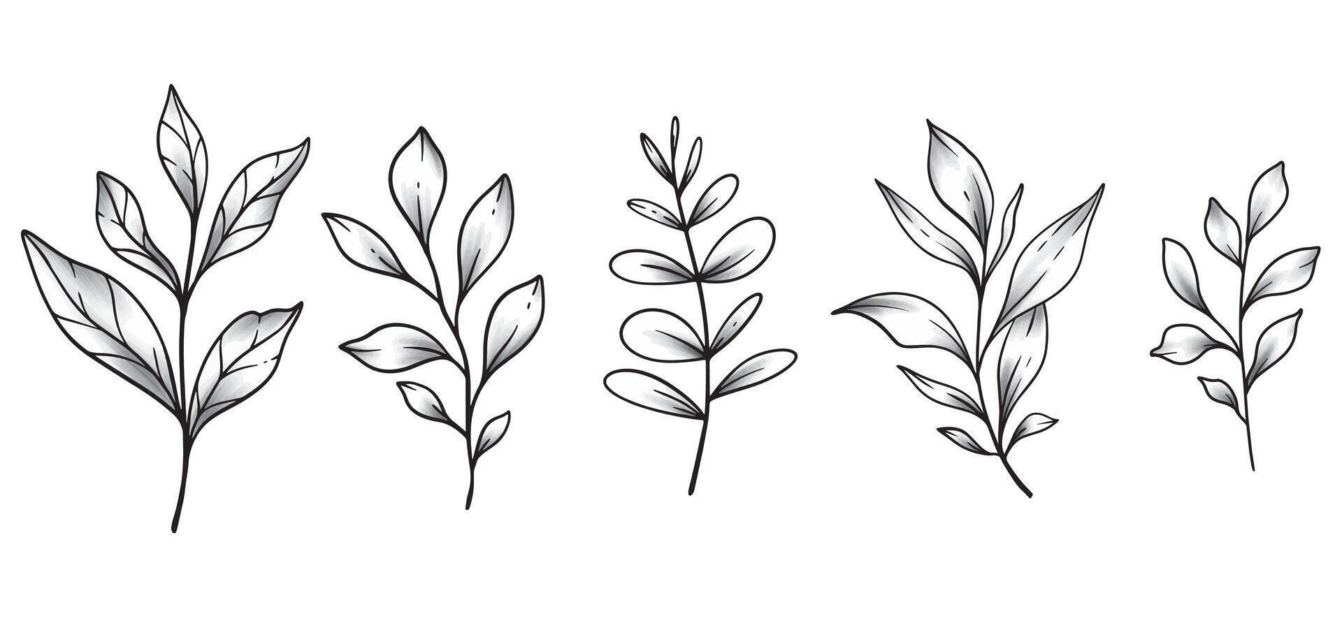 Greenery Line Drawing. Black and white Leaves. Greenery illustration. Hand Drawn greenery.Flower Coloring Page. Floral Line Art. Fine Line  Botanical Graphics. Wedding invitation greenery vector