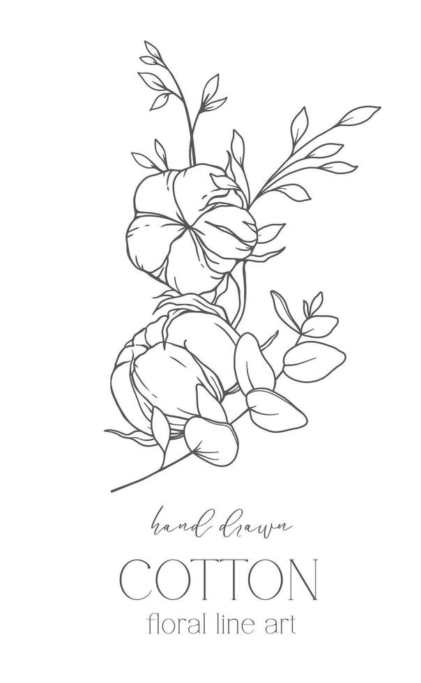 Hand Drawn Cotton Flowers Line Art Illustration. Cotton Balls isolated on white. Floral Line Art. Cotton Plant Black and white illustration. Fine Line Cotton illustration. vector