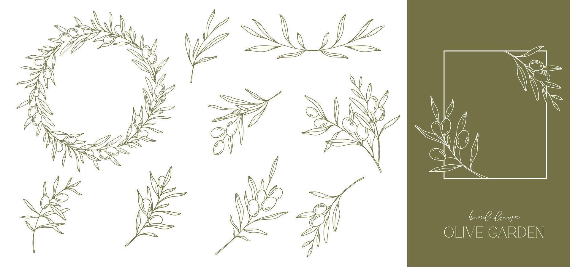 Olives Line Drawing. Black and white Olive Frame. Olive Wreath Isolated. Floral Line Art. Fine Line Olive  illustration. Black and white Olive Branches. Hand Drawn Olive. Wedding invitation greenery vector