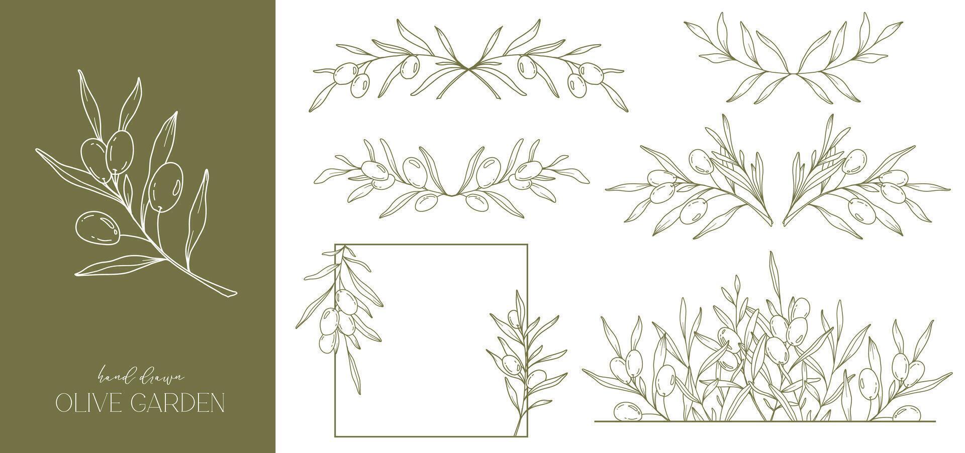 Olives Line Drawing. Black and white Olive Frame. Olive Wreath Isolated. Floral Line Art. Fine Line Olive  illustration. Black and white Olive Branches. Hand Drawn Olive. Wedding invitation greenery vector