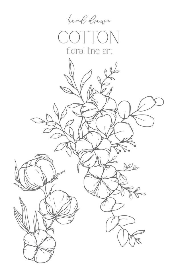 Hand Drawn Cotton Flowers Line Art Illustration. Cotton Balls isolated on white. Floral Line Art. Cotton Plant Black and white illustration. Fine Line Cotton illustration. vector