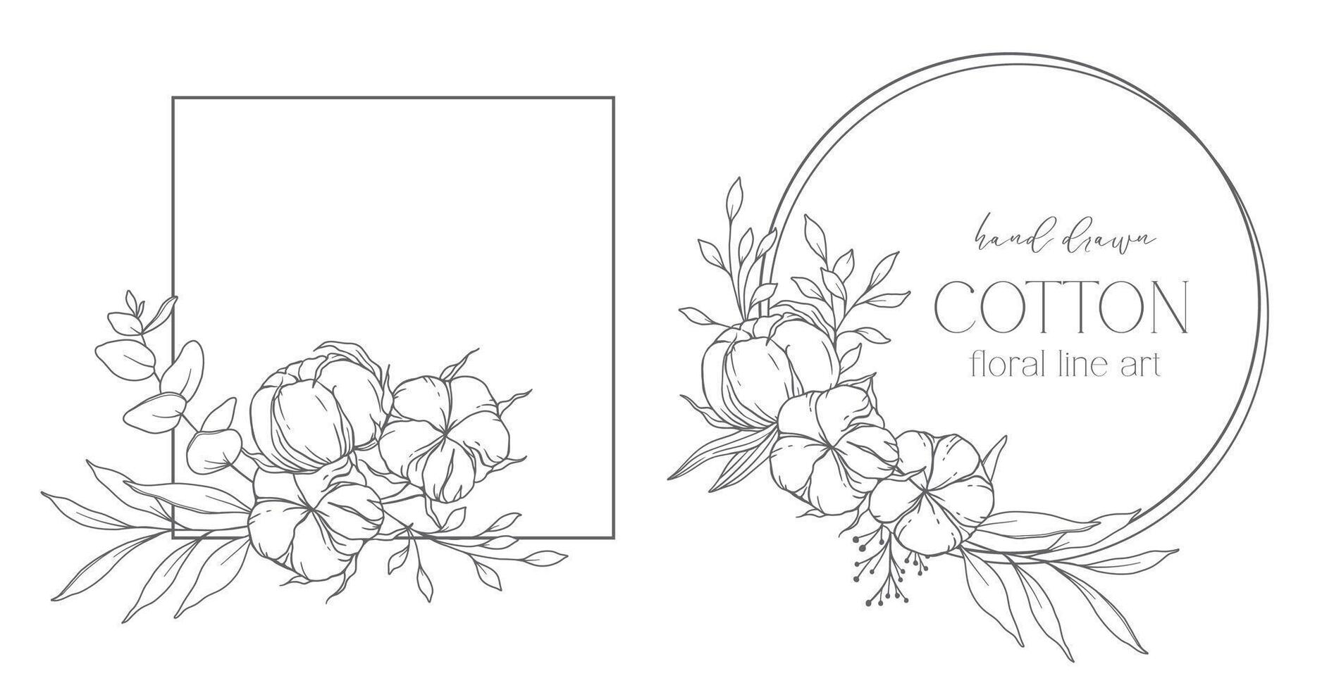 Hand Drawn Cotton Flowers Line Art Illustration. Cotton Balls isolated on white. Floral Line Art. Cotton Plant Black and white illustration. Fine Line Cotton illustration. vector