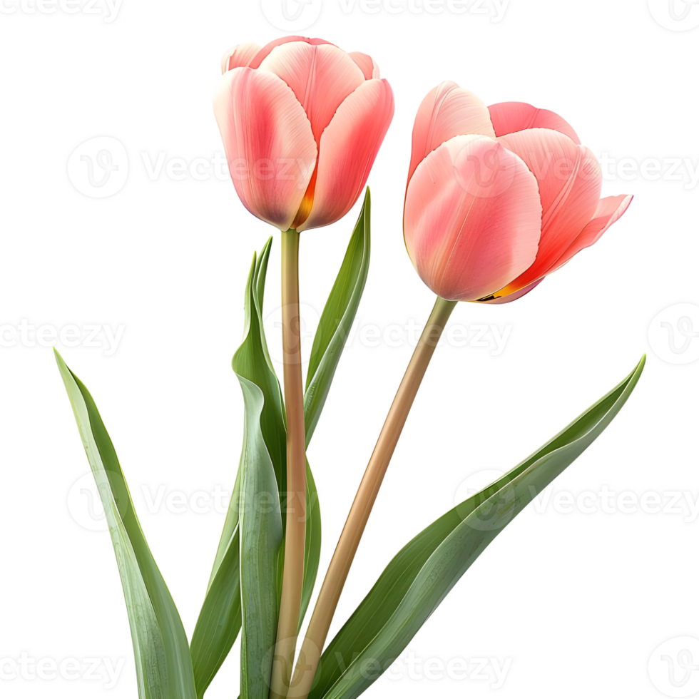 AI generated 3D Rendering of a Pink Tulip Flower on Transparent Background - Ai Generated png