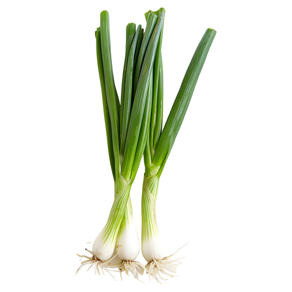 AI generated 3D Rendering of a Spring Onion on Transparent Background - Ai Generated png