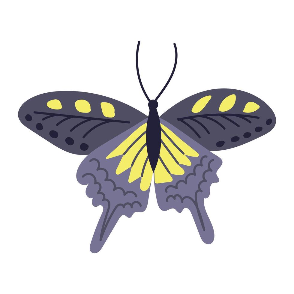 plano mano dibujado vistoso mariposa aislado en blanco antecedentes. primavera concepto. ideal para decoración, pegatinas, saludos, bandera y antecedentes vector