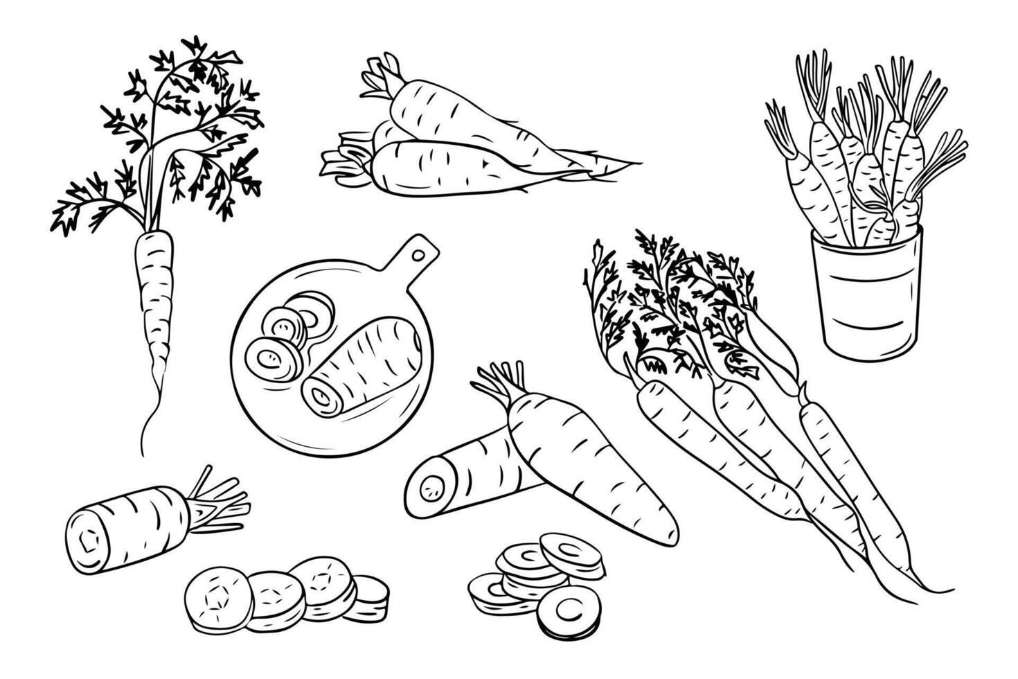 Big set of contour sketchy drawings of carrots. Black outline doodles isolated on white background. Vegan friendly concept. Ideal for coloring pages, tattoo, pattern vector