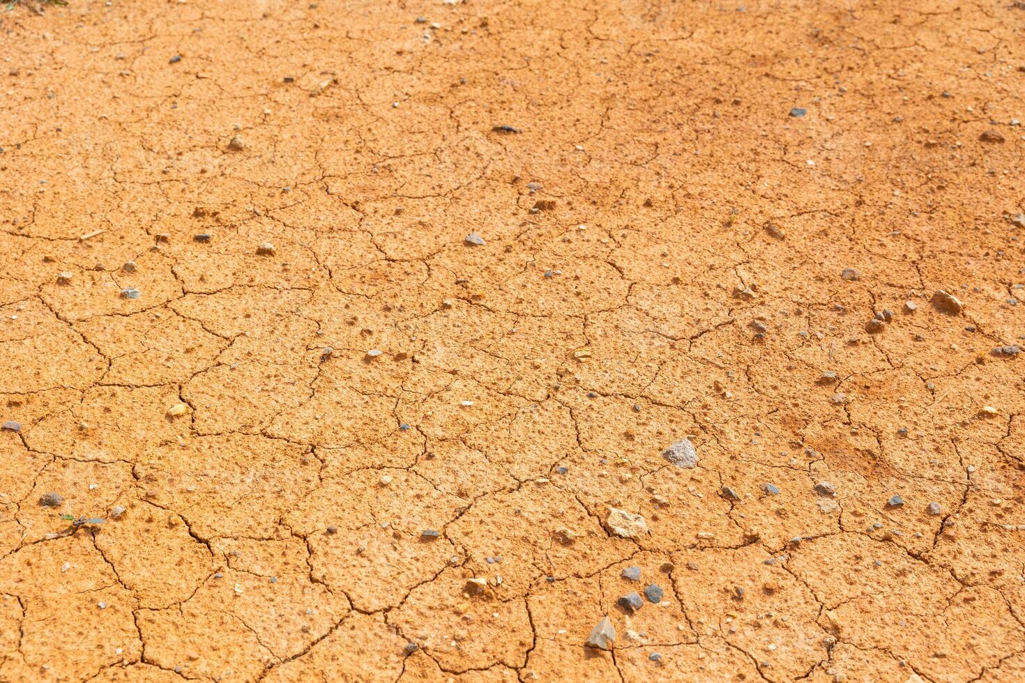 Dry or drought land background photo