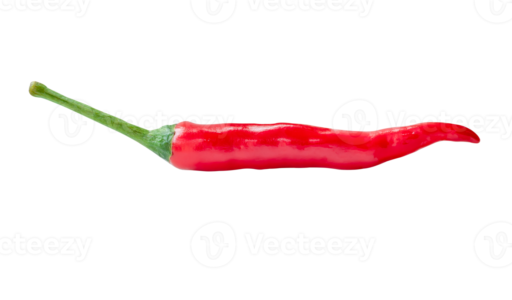 Side view of single fresh red chili pepper isolated with clipping path in png file format