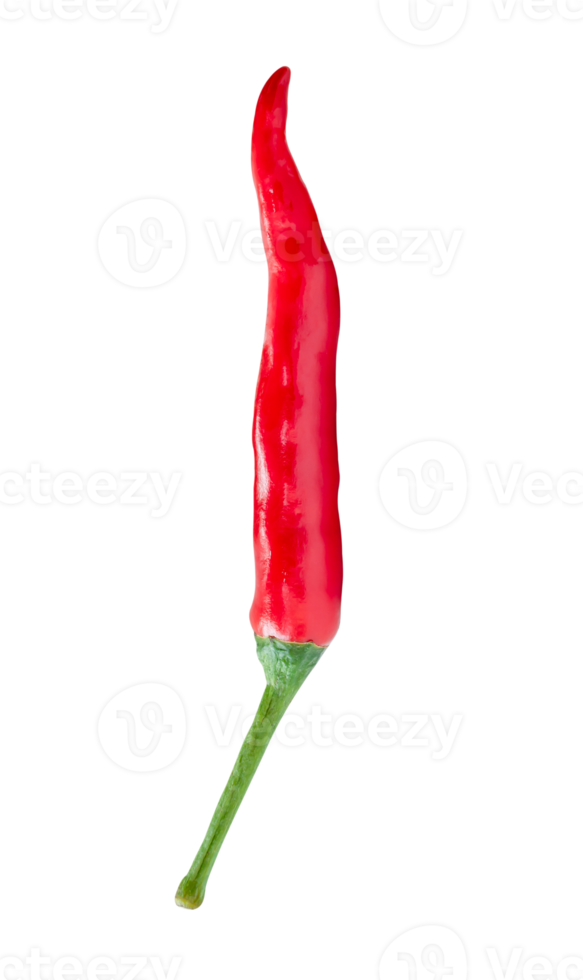 Front view of single red chili pepper isolated with clipping path in png file format
