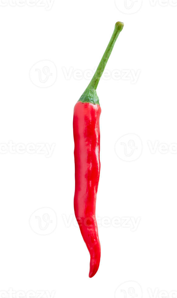 Front view of single fresh red chili pepper isolated with clipping path in png file format