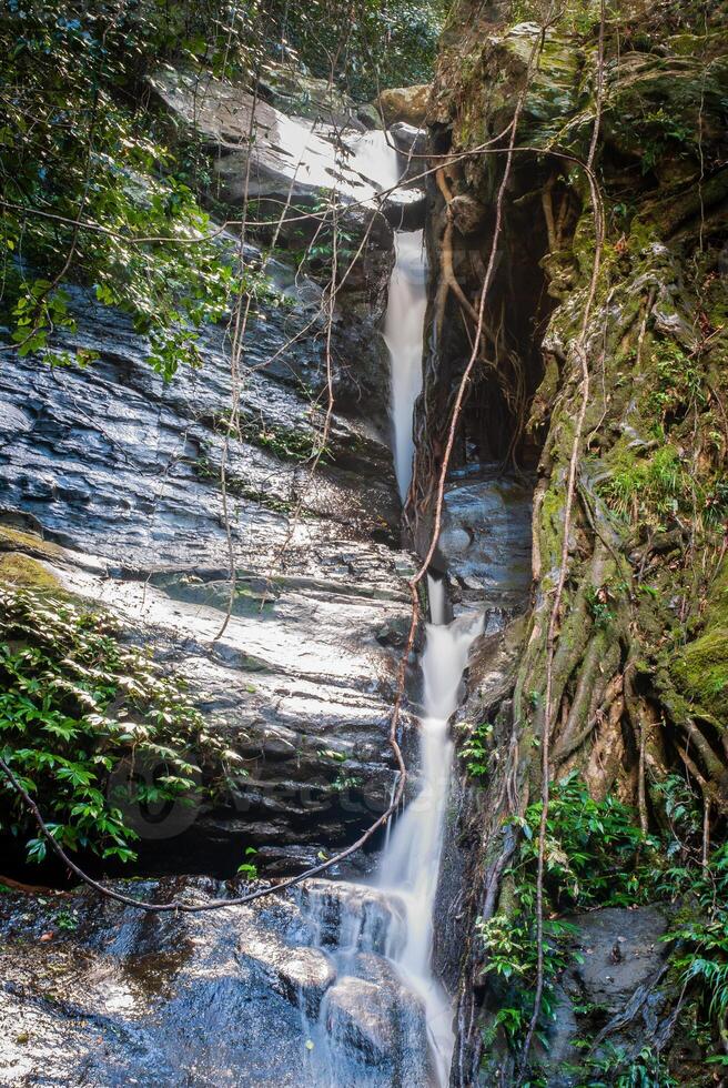 largo exposición foto de cascada caídas, Macquarie pasar nsw Australia