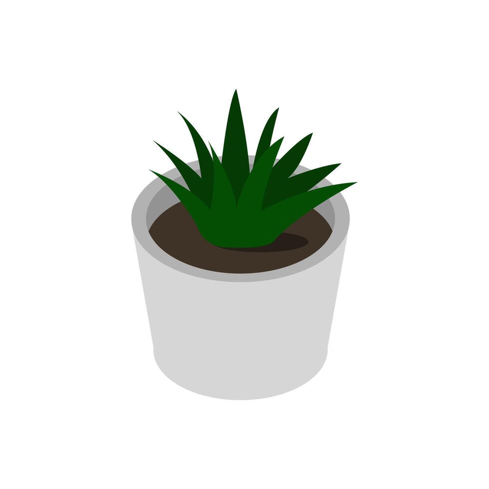 Isometric potted plant vector