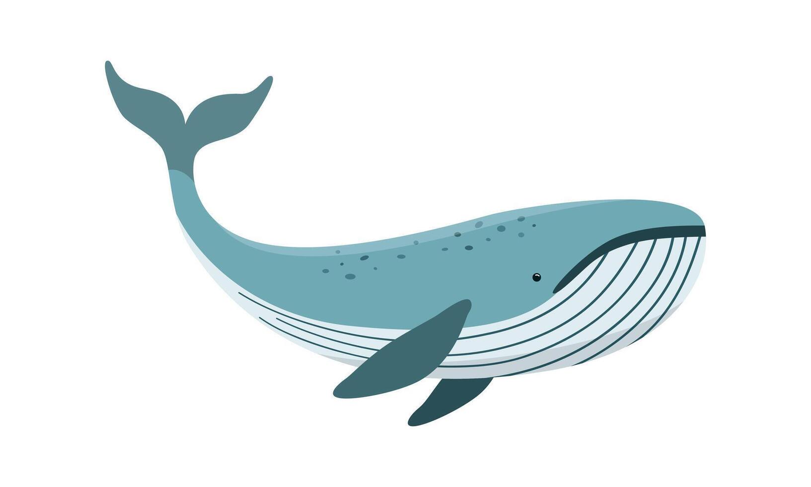 Whale floating underwater. Vector illustration. Isolated on white background. Cartoon sea animal. Children graphic