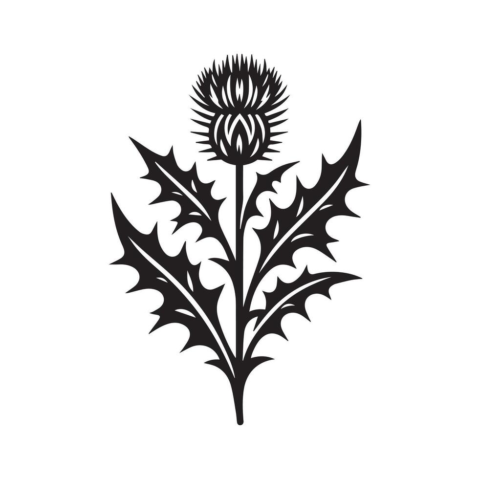 AI generated Thistle flower silhouette black and white illustration vector
