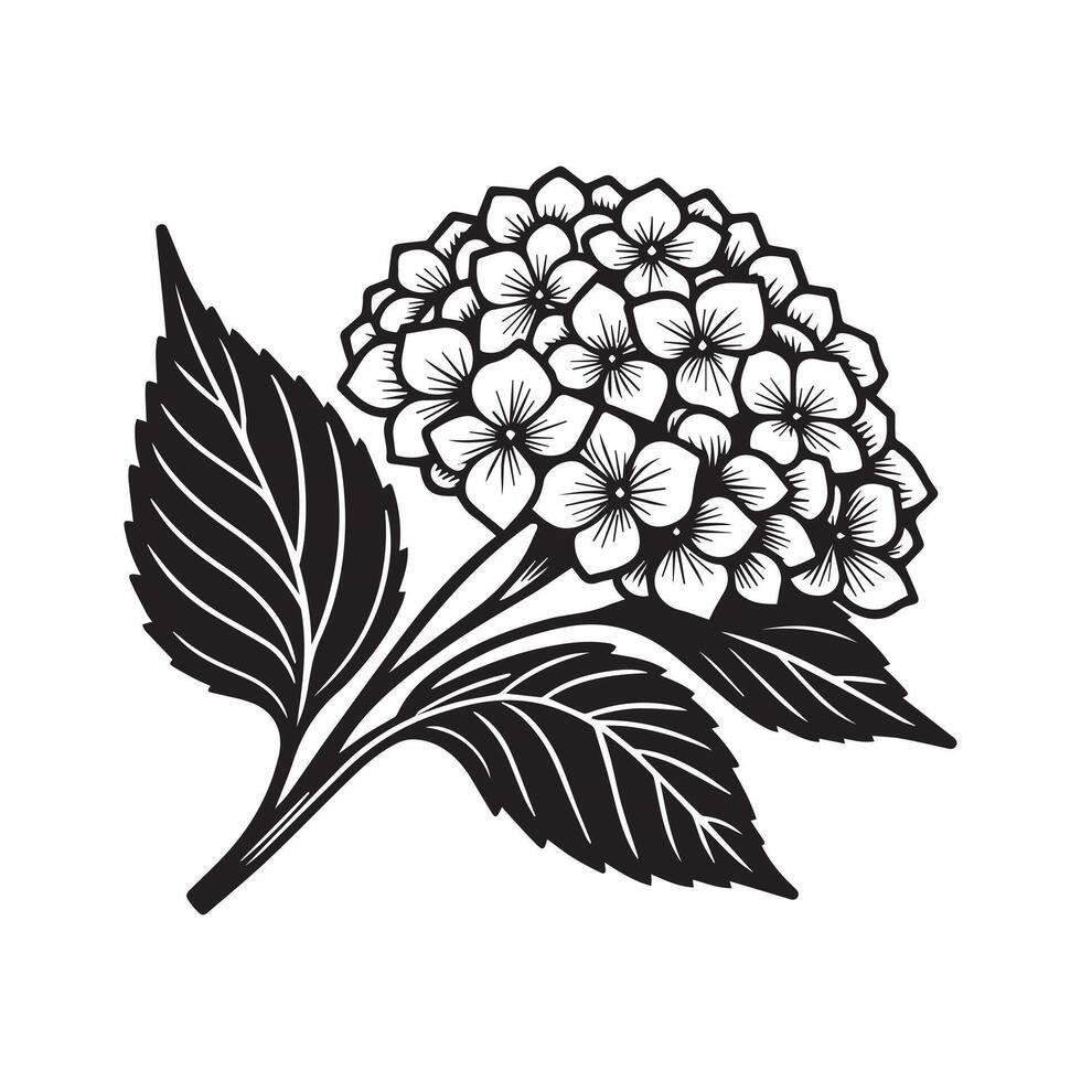 AI generated Hydrangea flower silhouette black and white illustration vector