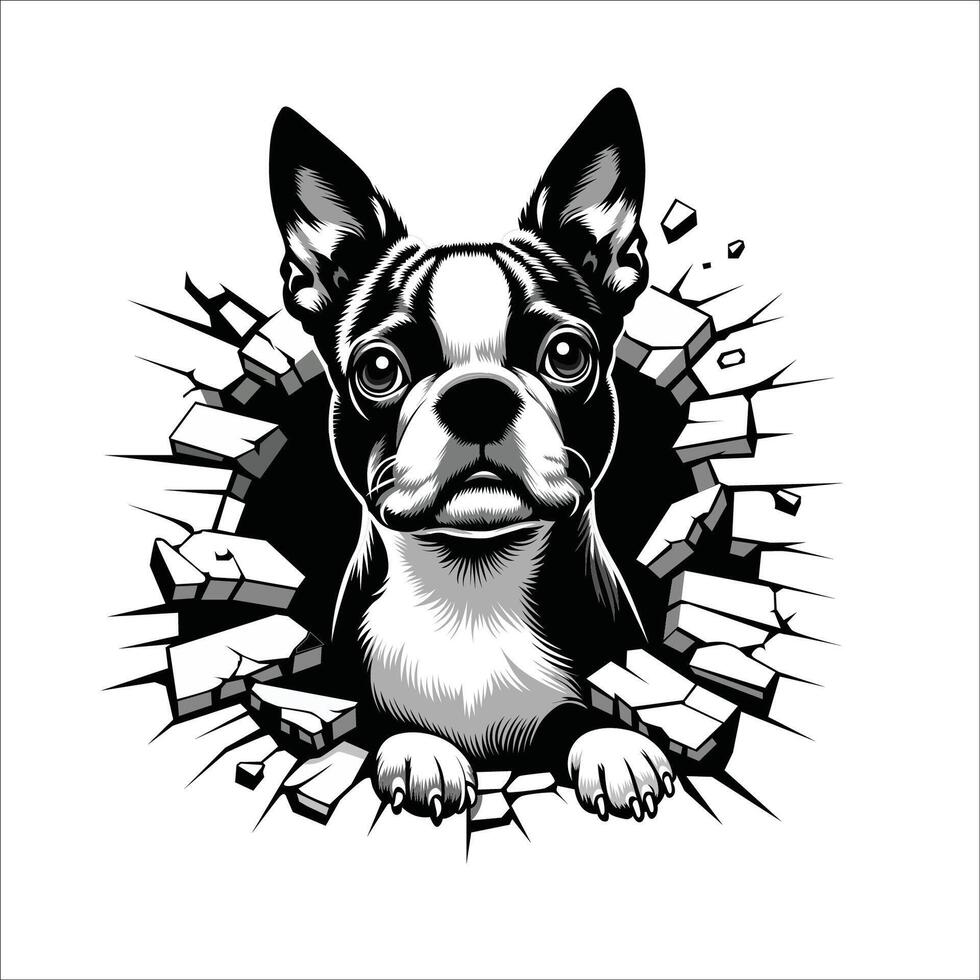 AI generated Boston Terrier Dog looking breaks through a breakthrough wall Vector