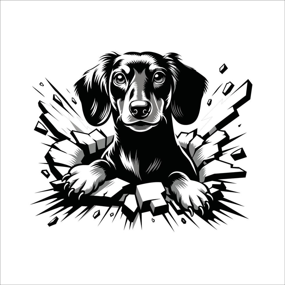 AI generated Dachshund Dog looking breaks through a breakthrough wall Illustration vector