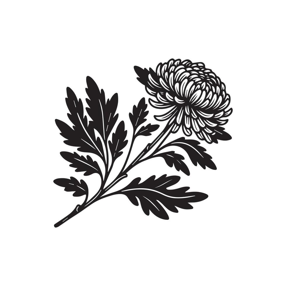 AI generated Chrysanthemum flower silhouette black and white illustration vector