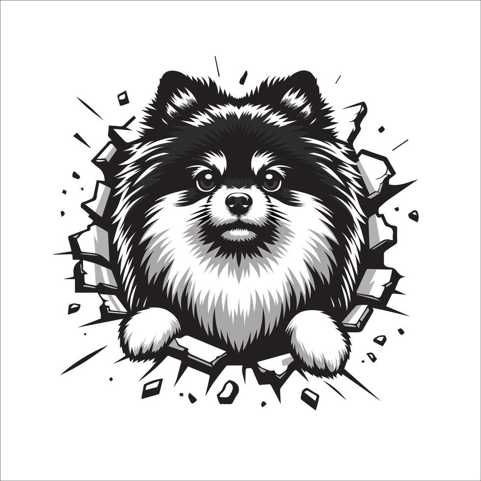 AI generated Pomeranian Dog looking breaks through a breakthrough wall Vector