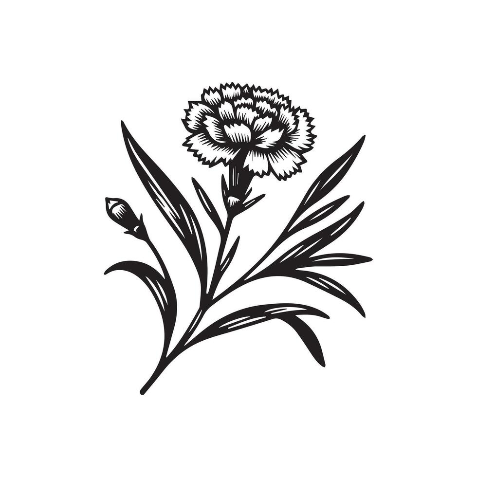 AI generated Carnation flower silhouette black and white illustration vector