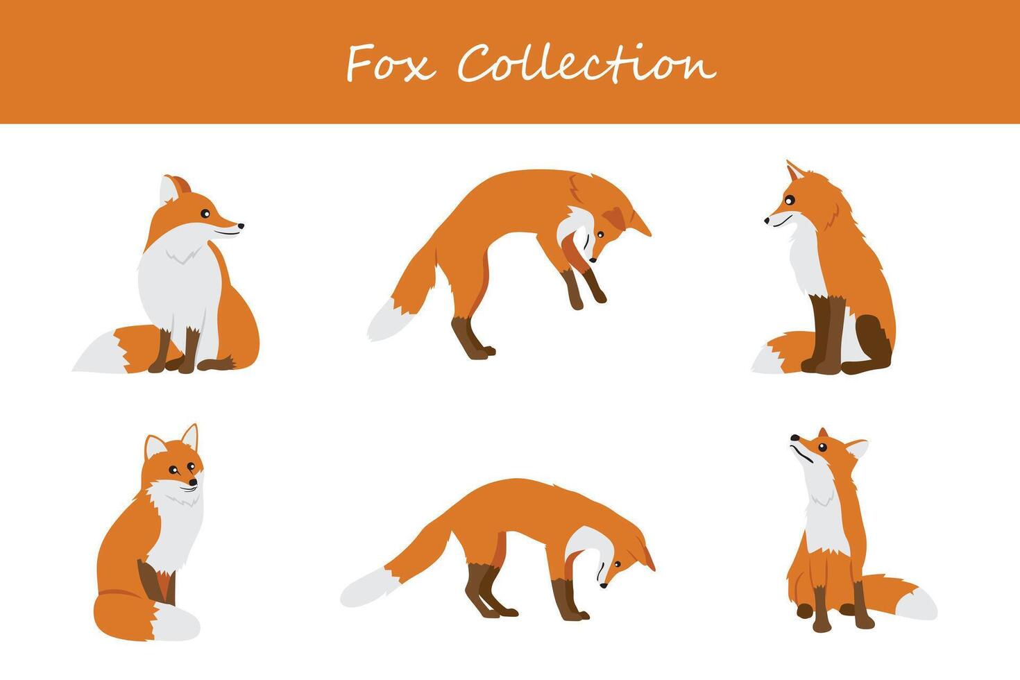 fox collection. Vector illustration. Isolated on white background.