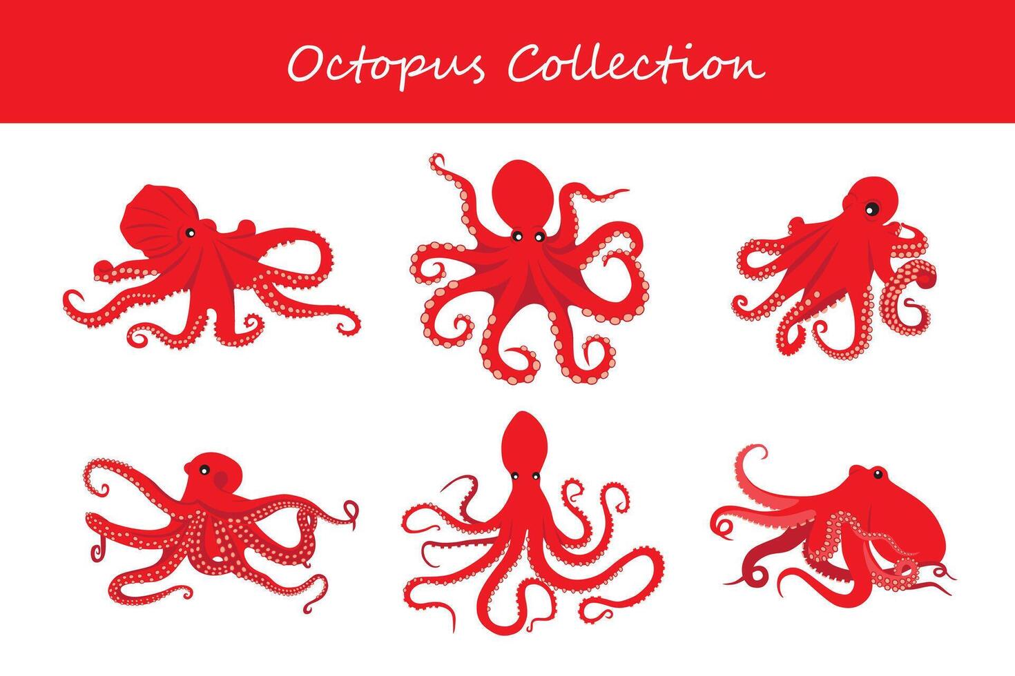 Octopus set. Vector illustration. Isolated on white background.