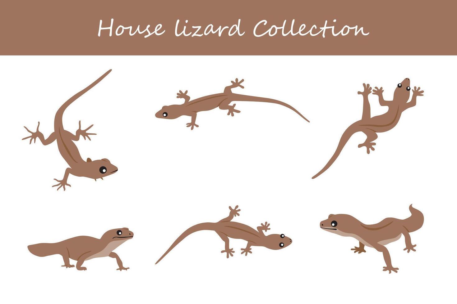 house lizard collection. Vector illustration. Isolated on white background.