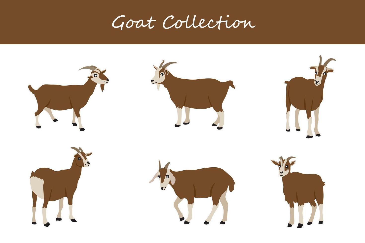 goat collection. Vector illustration. Isolated on white background.