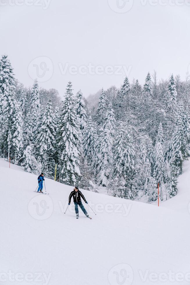 Skiers in ski suits go down a snow-covered slope photo