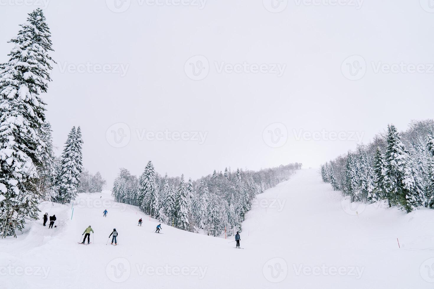 esquiadores esquí abajo un suavemente en pendiente nieve pista a lo largo un escarpado Pendiente y bosque foto