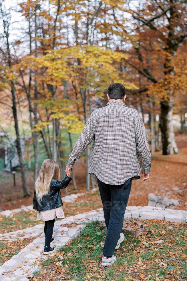 pequeño niña camina a lo largo un pavimentado camino en el otoño bosque, participación su papá mano. espalda ver foto