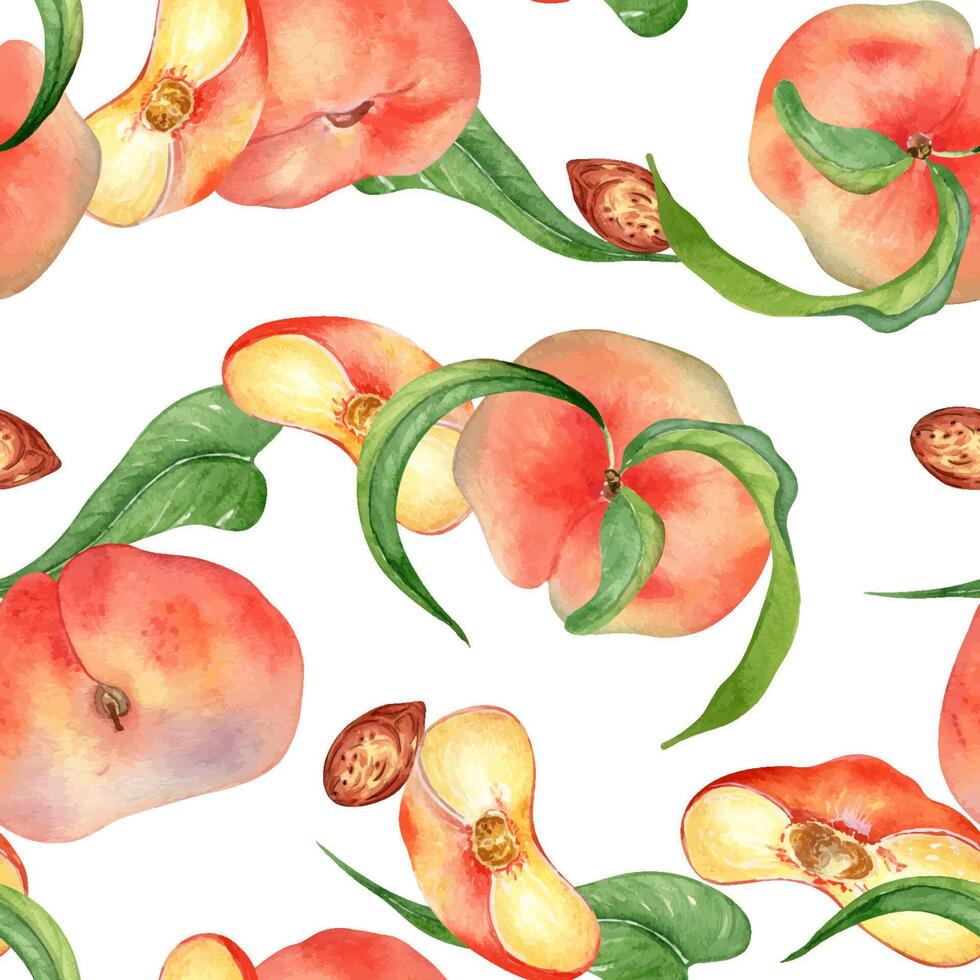 Chines fig peaches and leaves watercolor seamless pattern isolated on white. Whole ripe fruits painting. Flat peach hand drawn. Design element for package, textile, skin care cosmetic. vector