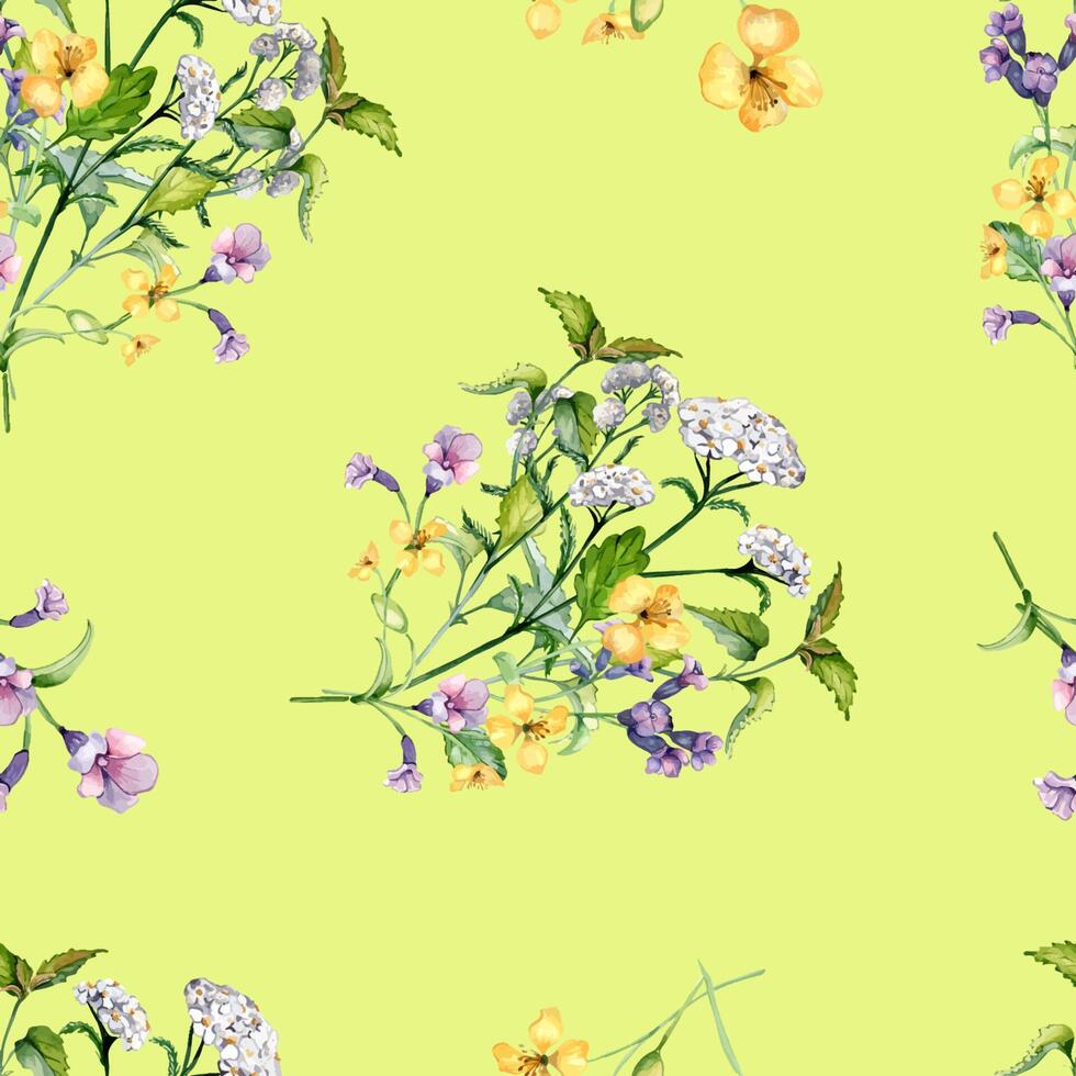 Seamless wild medicinal plant, herbs watercolor pattern isolated on yellow background. Floral pattern with millefolium, nettle, pulmonaria, celanine hand drawn. Design for label, package, textile vector