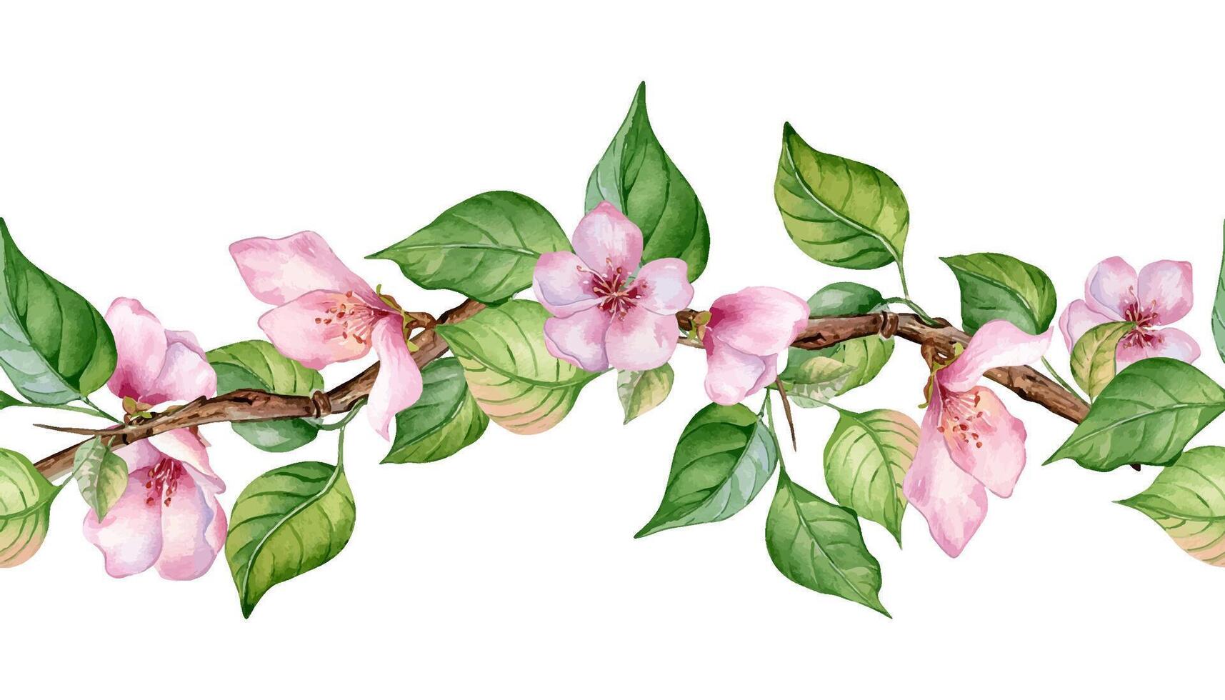 Watercolor seamless banner with pink flowers of apple tree isolated on white. Floral board with blossom fruit branch hand drawn. Element for wedding invitation, card, packaging, label product vector