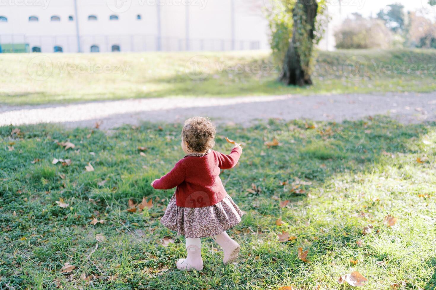 pequeño niña camina en verde césped con un amarillo hoja en su mano. espalda ver foto