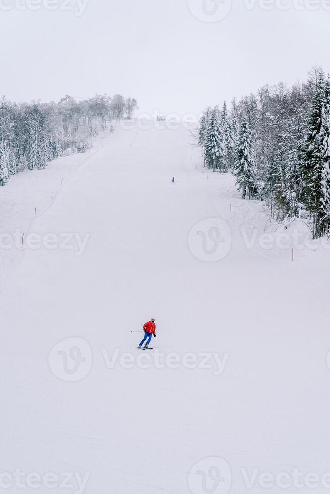 esquiador en un brillante traje se apresura abajo un cubierto de nieve montaña a lo largo el bosque foto