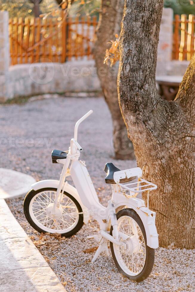 blanco retro motor bicicleta soportes cerca un árbol en el parque foto