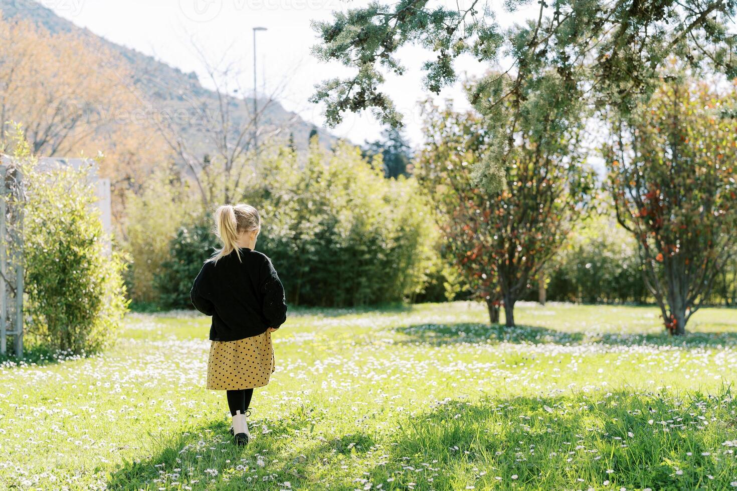 pequeño niña camina mediante un soleado floración prado hacia verde arbustos espalda ver foto