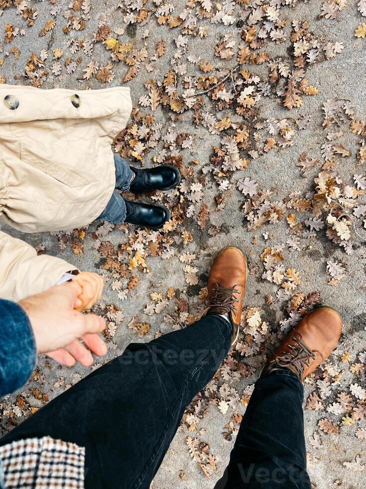 Man with a child stand on the pavement among fallen leaves. Top view photo