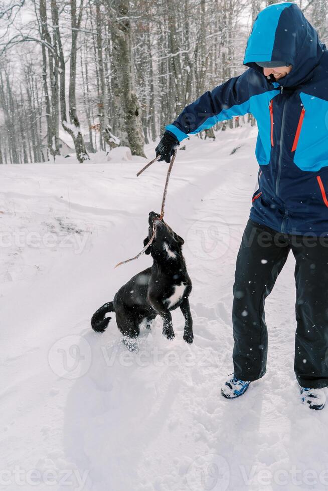 Smiling man playing tug-of-war with a stick with his dog while standing on a snowy road photo