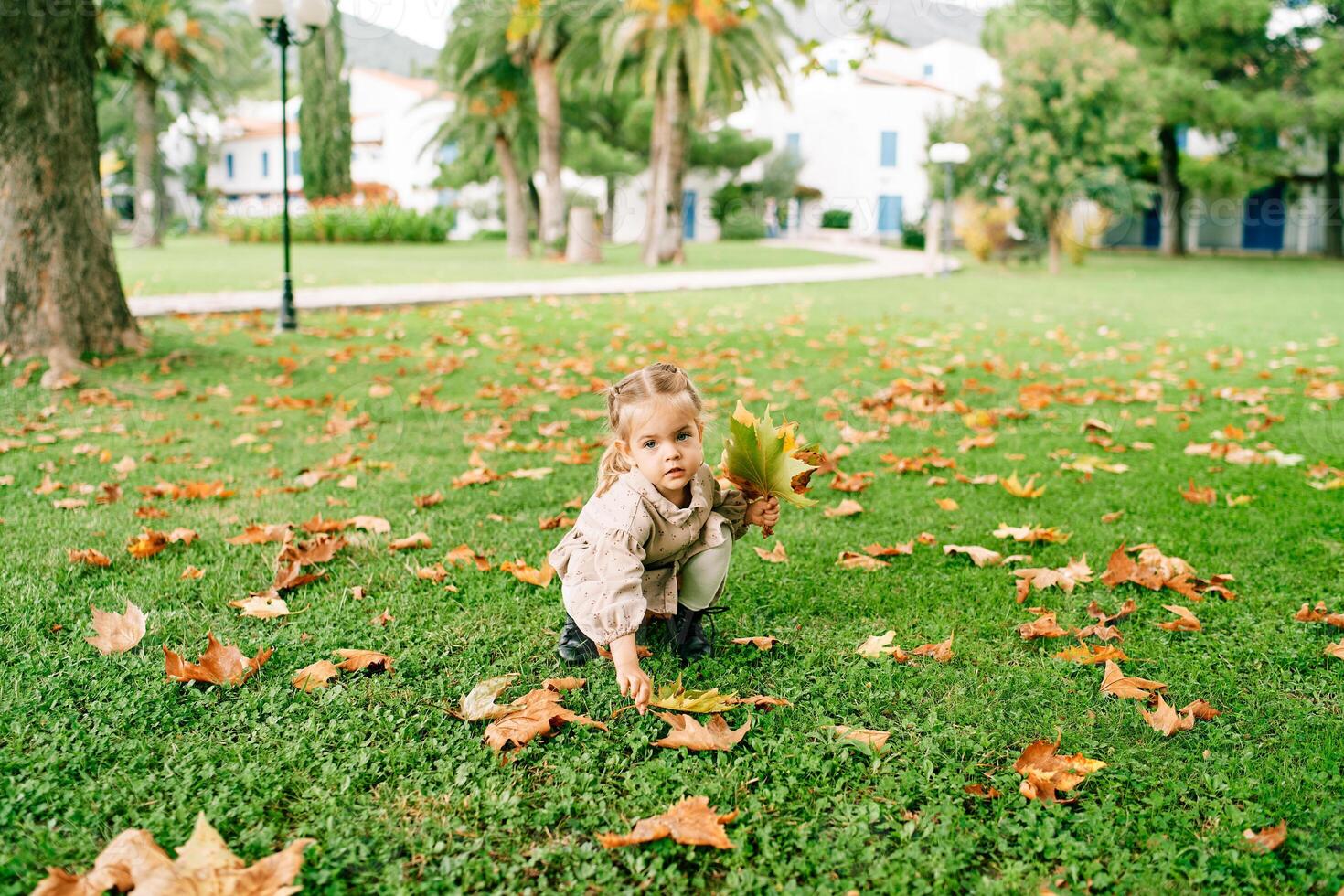 Little girl collects a bouquet of yellow leaves crouching on the lawn near the house photo