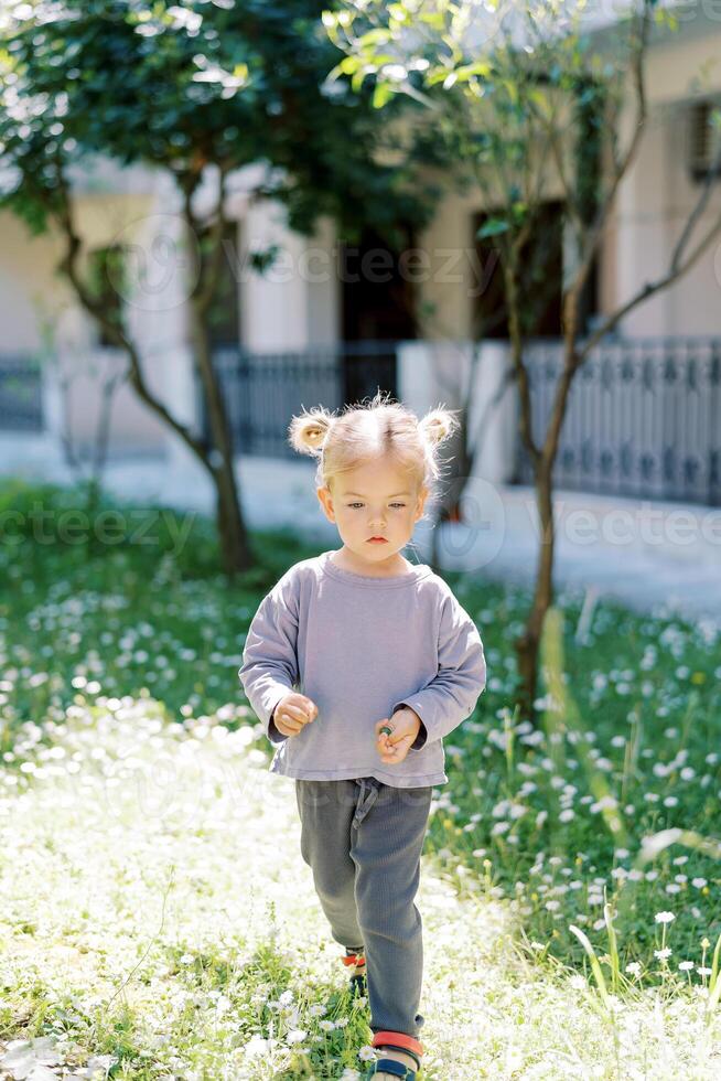 pequeño niña camina mediante un soleado jardín, mirando a su pies foto