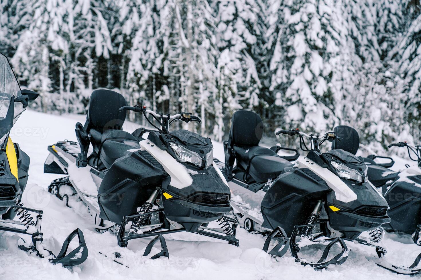 Row of snowmobiles stands on the snow at the edge of the forest photo