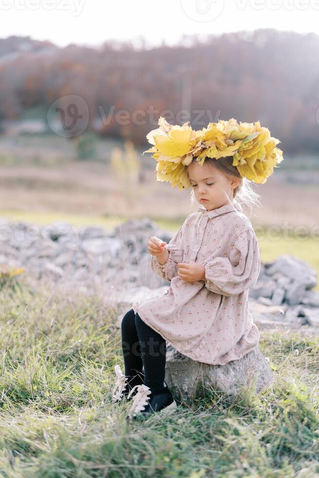 pequeño niña en un guirnalda de otoño hojas se sienta en un Roca en un verde césped y examina un espada de césped en su manos foto