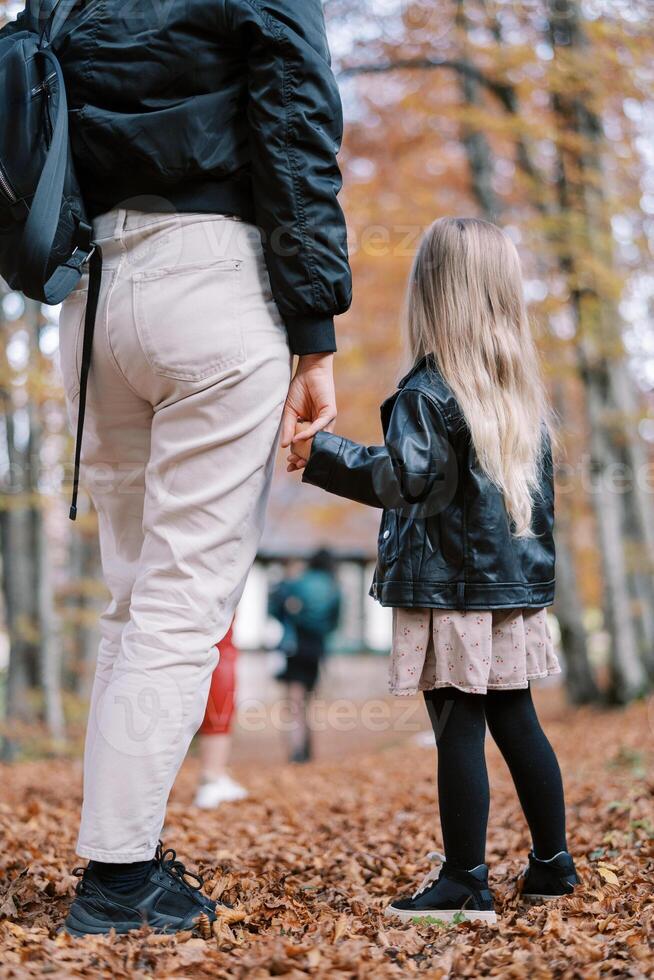 madre y un pequeño niña estar en un otoño parque participación manos y mirando adelante. espalda vista. recortado foto